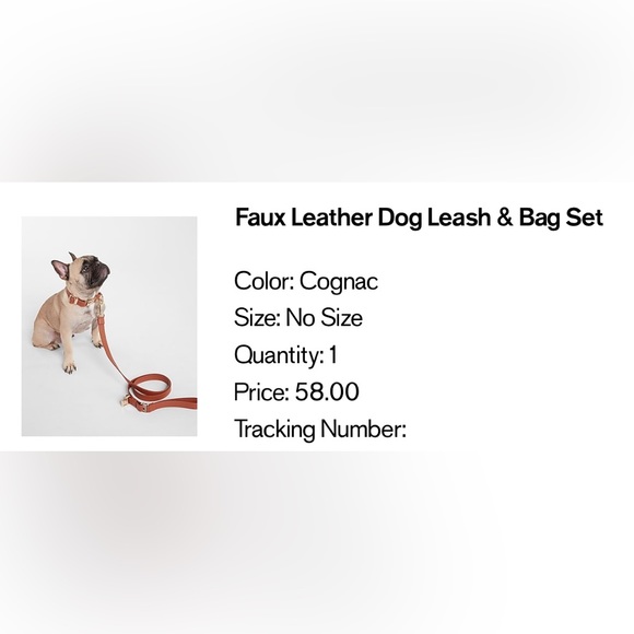 Faux Leather Dog Leash & Bag Set - Picture 2 of 2